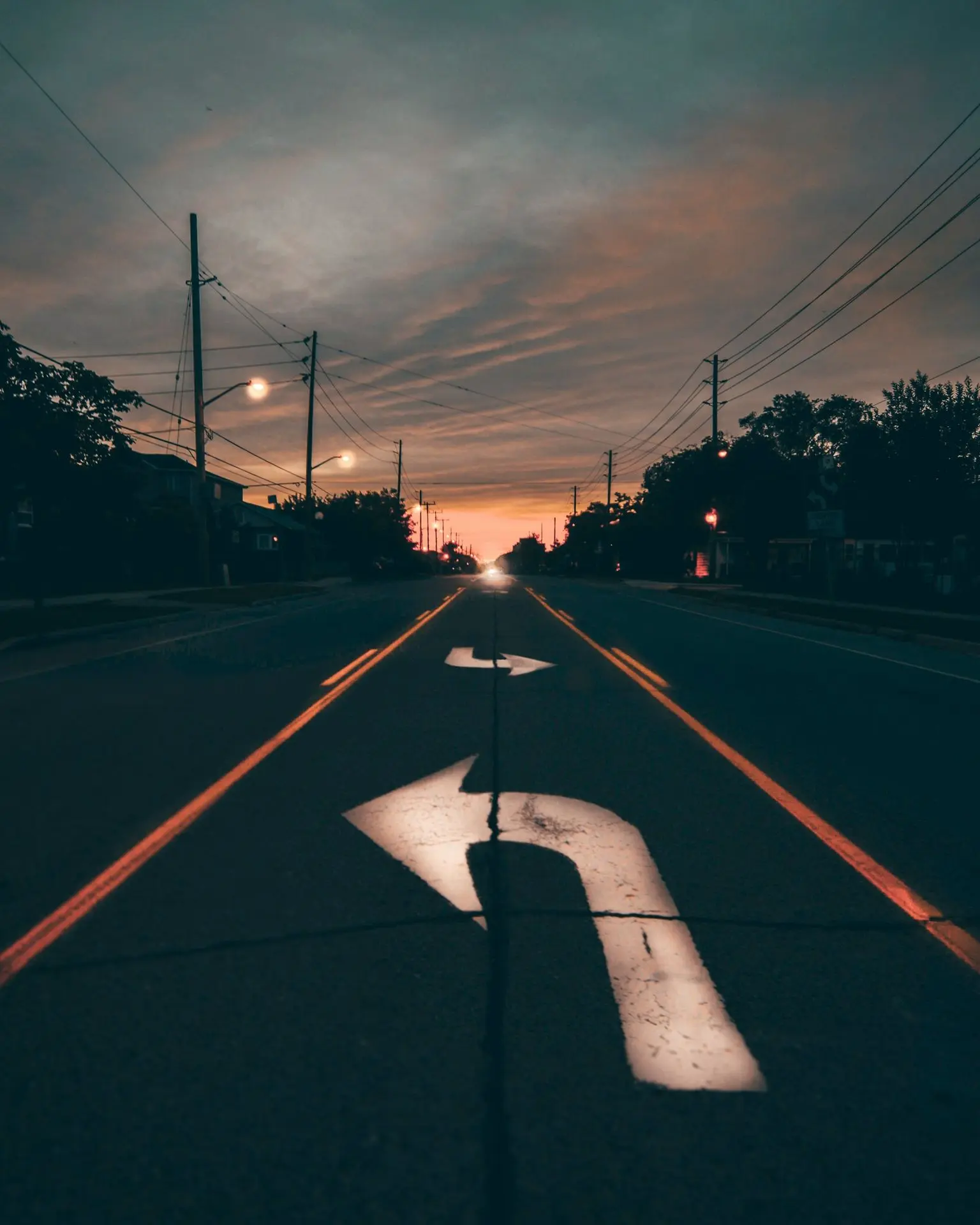 highway near trees during golden hour